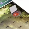 Compartiment ouvert du Calendrier de l'Avent de Noël Cristal Naturel 2024, révélant une pierre rouge unique