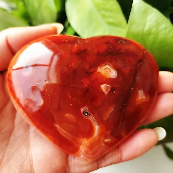 Cœur en agate rouge naturelle, pierre énergisante pour l'amour et le bien-être, nuances intenses de rouge, tenu en main