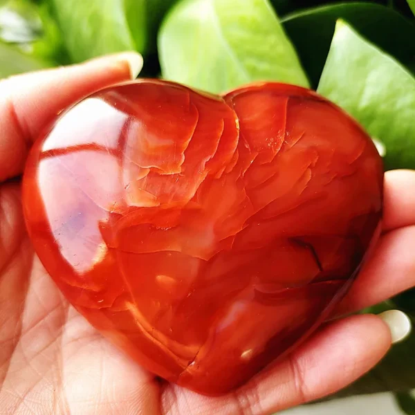 Cœur en agate rouge naturelle, pierre énergisante pour la méditation et le bien-être, tenu en main avec des nuances vibrantes de rouge