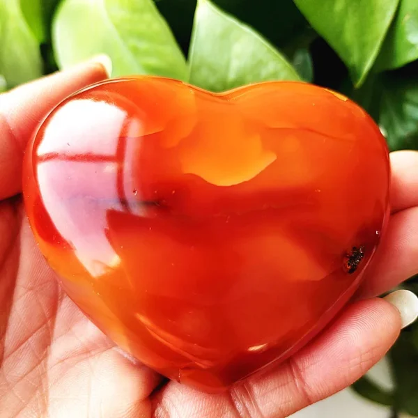 Cœur en agate rouge naturelle, symbole de vitalité et d'harmonie, tenu en main avec des nuances riches d'orange et de rouge