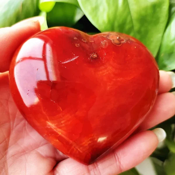 Cœur en agate rouge naturelle, pierre symbolisant l'harmonie et le bien-être, nuances riches de rouge, tenu en main
